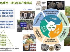 沙蓬綠色種養一體化生態產業模式