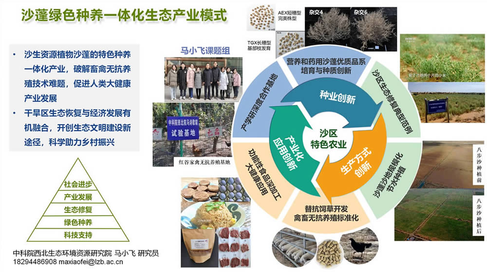 沙蓬綠色種養一體化生態產業模式